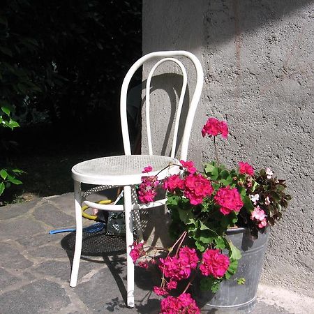 B&B Bosco Fiorito Malgesso Zewnętrze zdjęcie