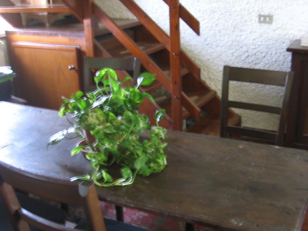 B&B Bosco Fiorito Malgesso Zewnętrze zdjęcie