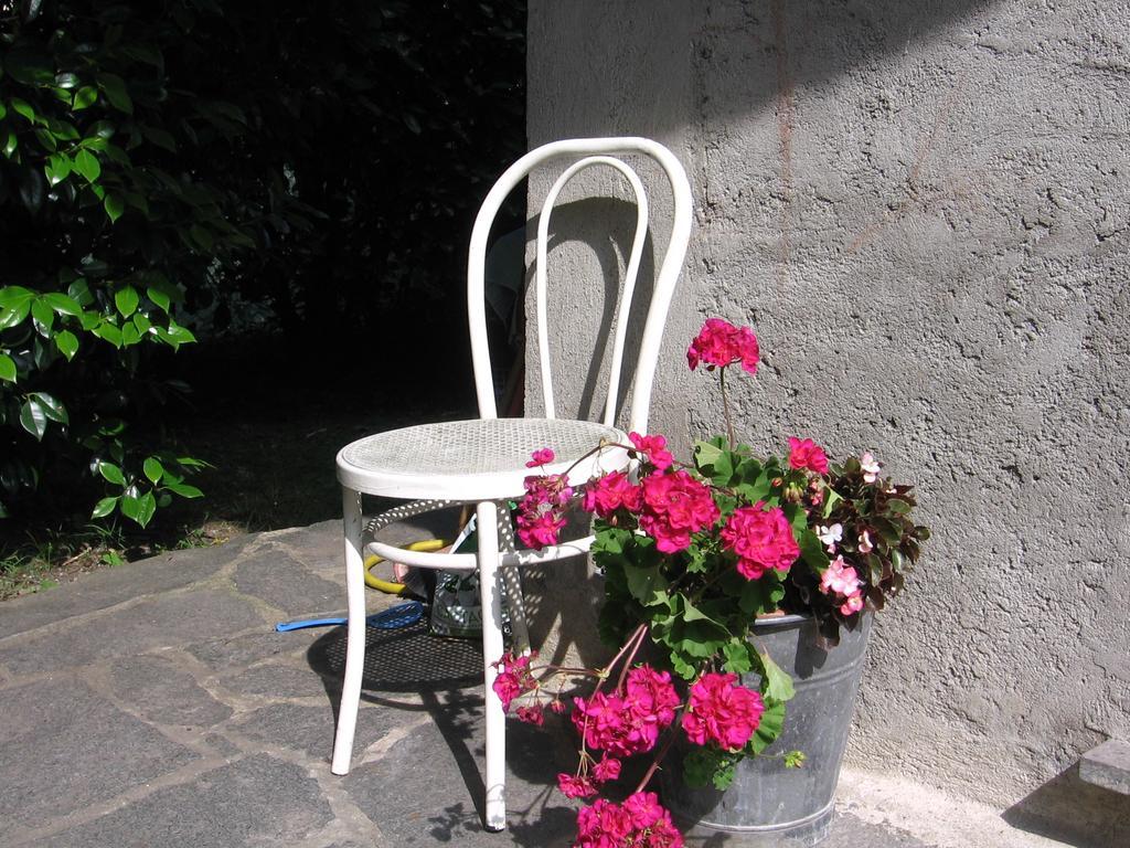B&B Bosco Fiorito Malgesso Zewnętrze zdjęcie