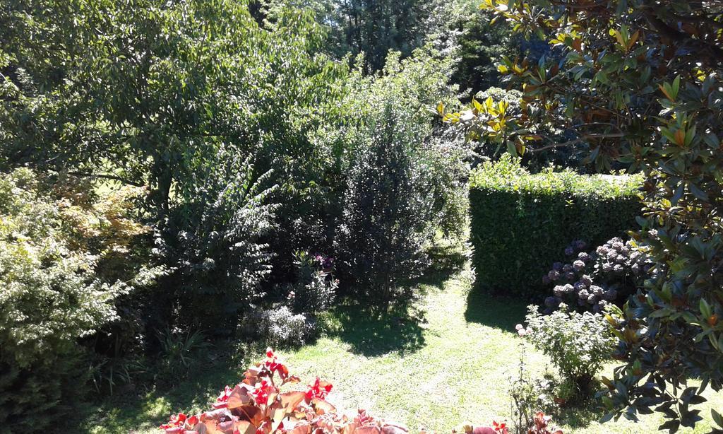 B&B Bosco Fiorito Malgesso Zewnętrze zdjęcie